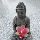 FFC Ketsch Gabriele Markheiser 01